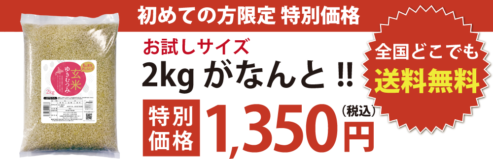 780円 新作モデル 米 玄米 ゆきむつみ 北海道産 5kg 令和2年産